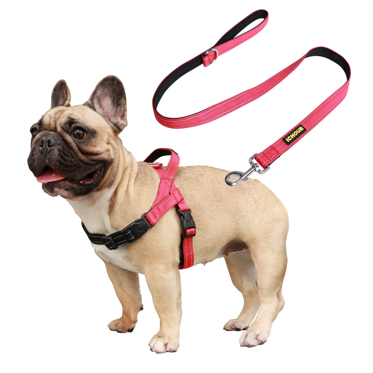 iChoue French Bulldog Harness and Leash Set