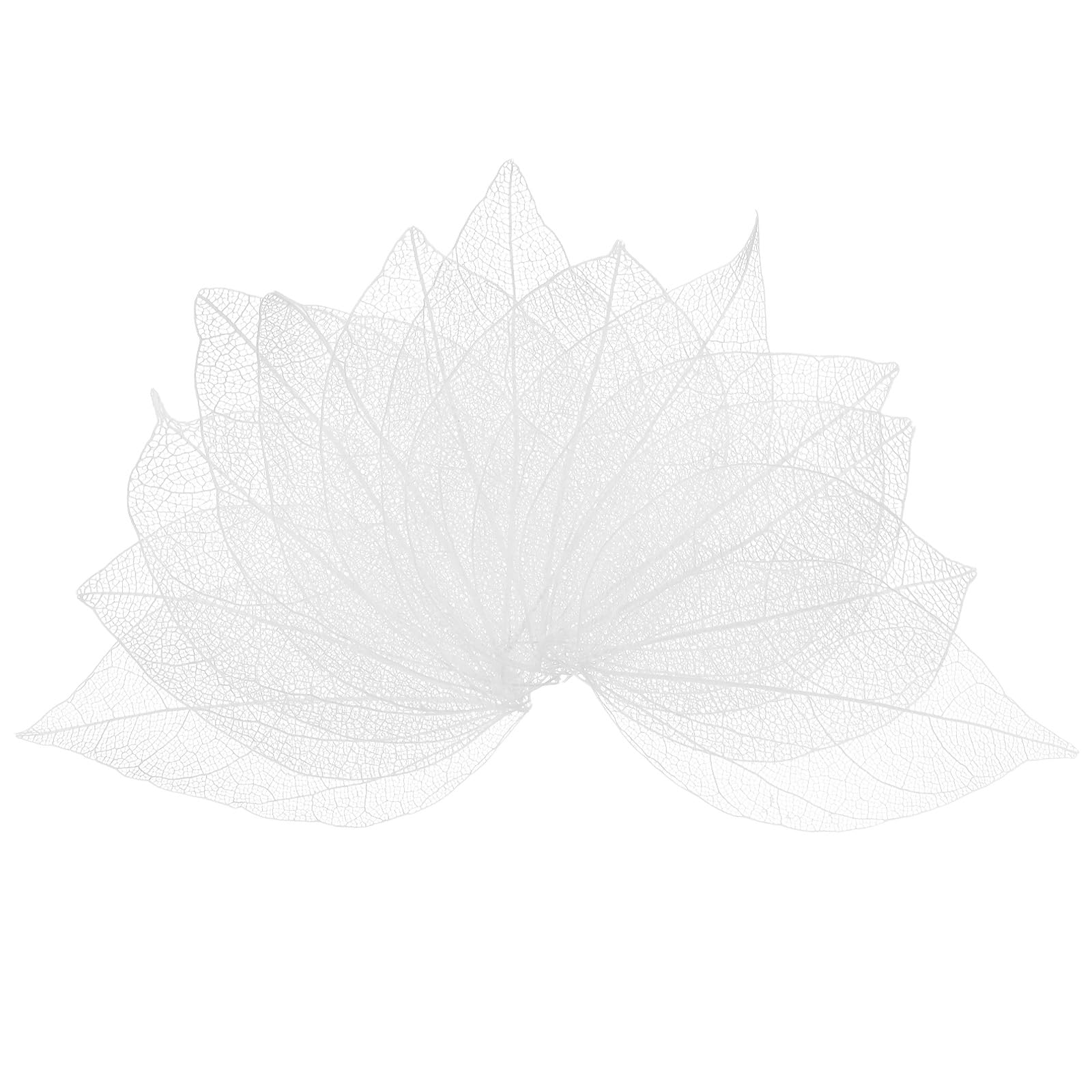 M METERXITY 200-Pack Skeleton Leaves, Natural Rubber Tree Dried Pressed Leaves Vein for Resin/DIY Crafts Card/Scrapbook/Wedding, Small Leaves Decorative [4-6cm, White]