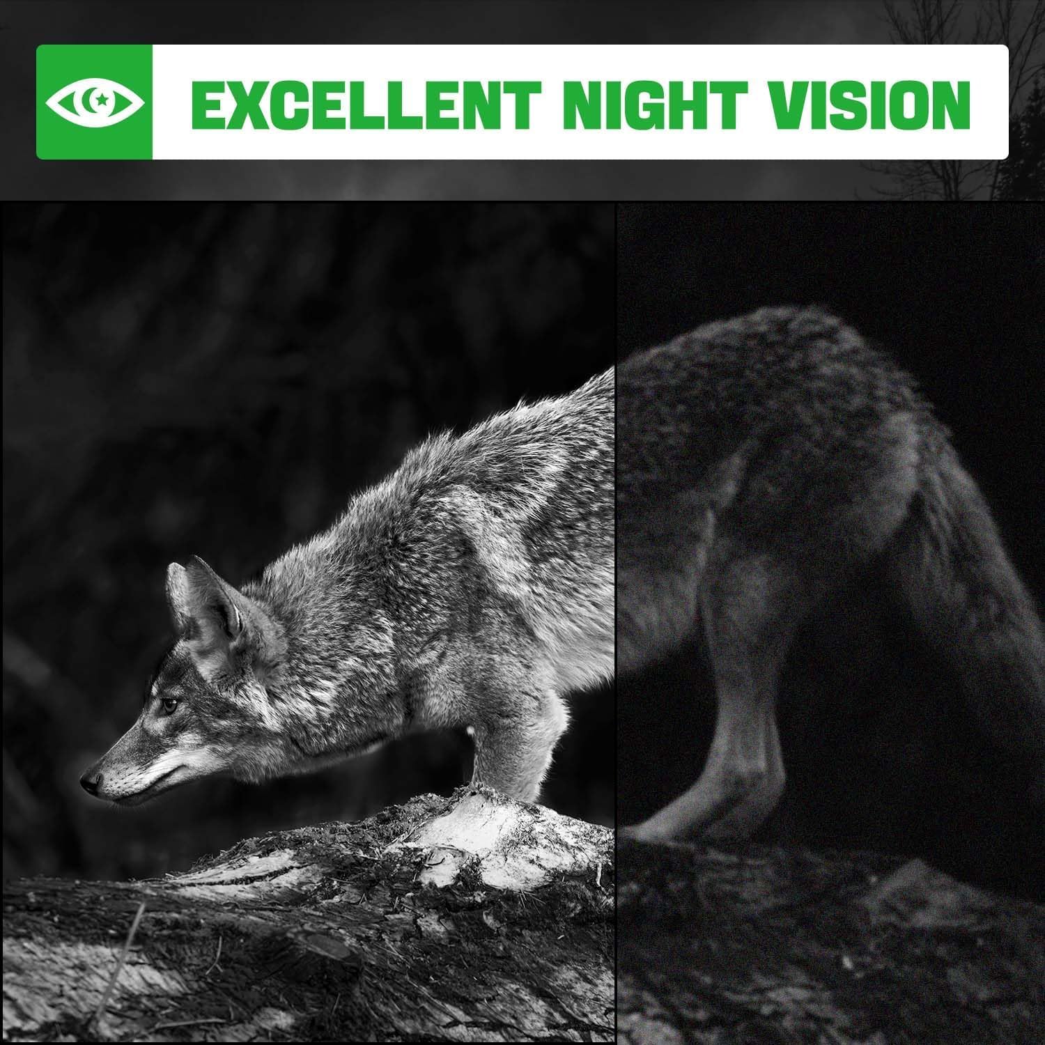 Coolifepro Wildkamera, 4K Video Wildtierkamera, 48MP Wildtierkamera mit Nachtsicht Bewegungsmelder, 35m Erfassungsbereich, IP66 Wasserdicht & 32GB SD Karte für Tierbeobachtung Sicherheitsüberwachung