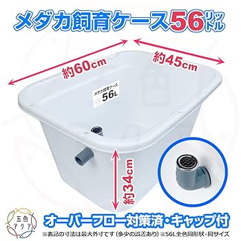 Amazon | 五色アクア メダカ飼育容器 56リットル 黒