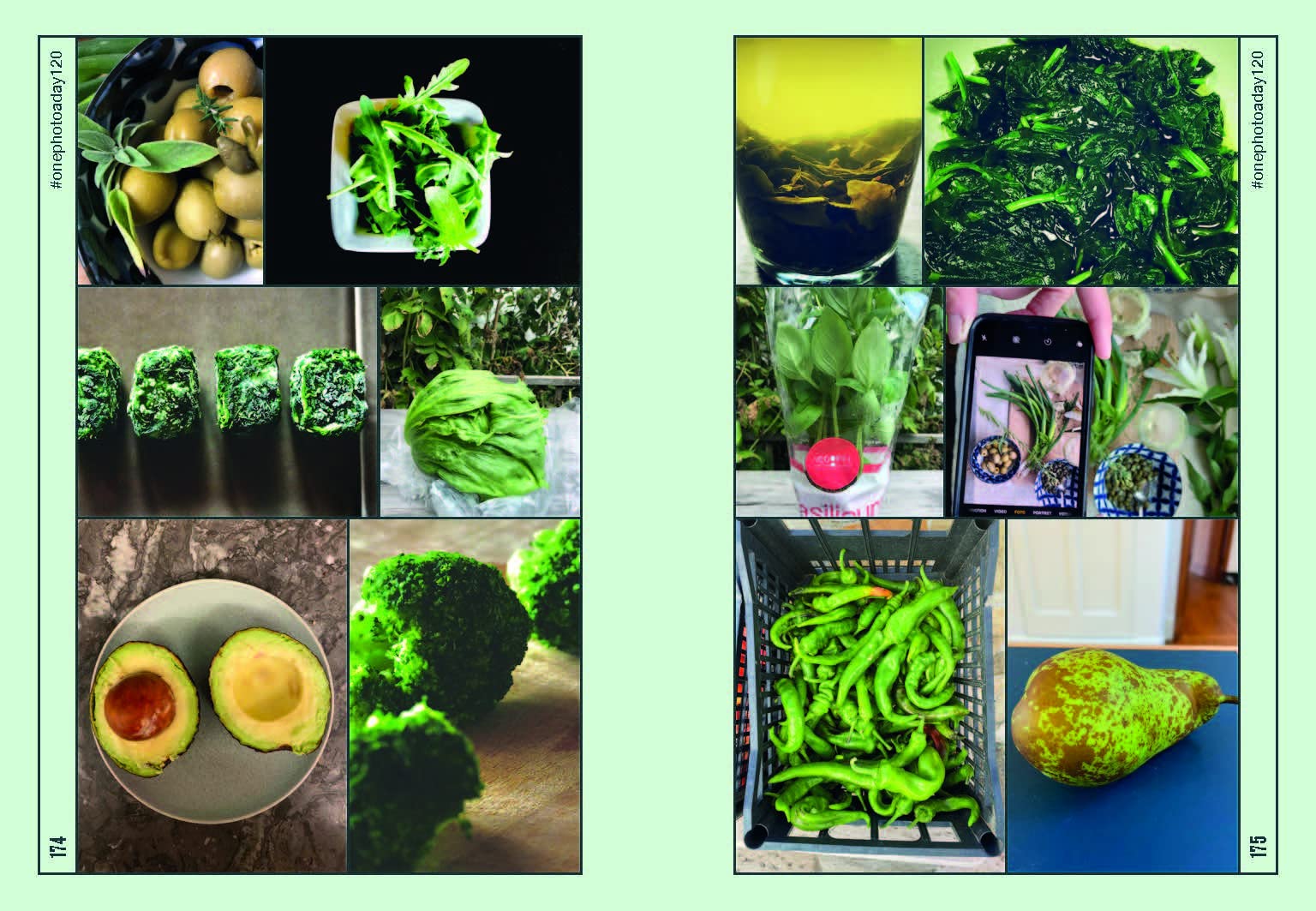 One photo a day keeps the doctor away: inspiring ways to slow down and look around
