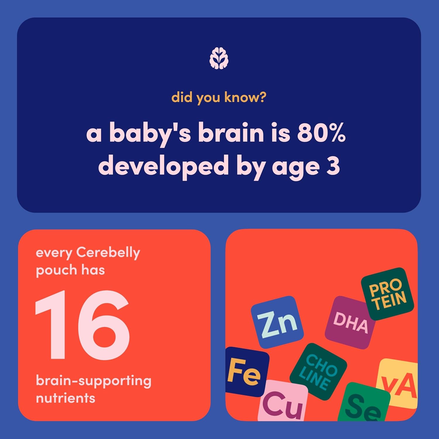 Cerebelly Organic Baby Food Pouches, Butternut Squash White Bean Purees, 16 Nutrients, No Added Sugar, Fiber & Non-GMO, 4oz, 6 Pack - Image 6