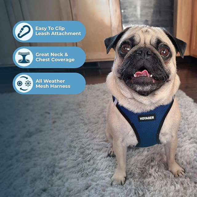 Foto 2 de 8 de Mejor Temporada Todos los Mascotas Arnés