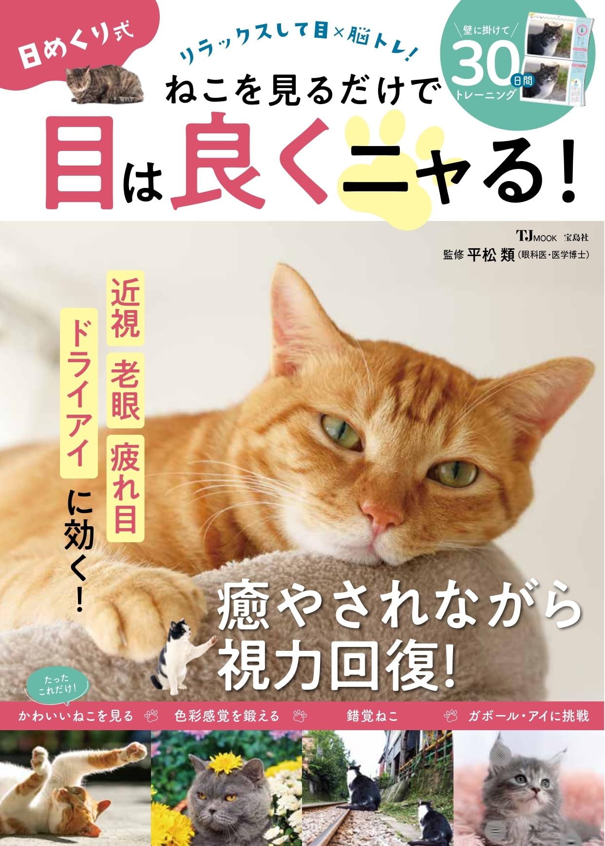 日めくり式 ねこを見るだけで目は良くニャる! (TJMOOK) | 平松 類 |本