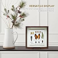 Vista 4 de Soporte de exhibición de caballete para platos, soportes de metal de 6 pulgadas para exhibición, soporte de fotos de mesa, caballetes de hierro