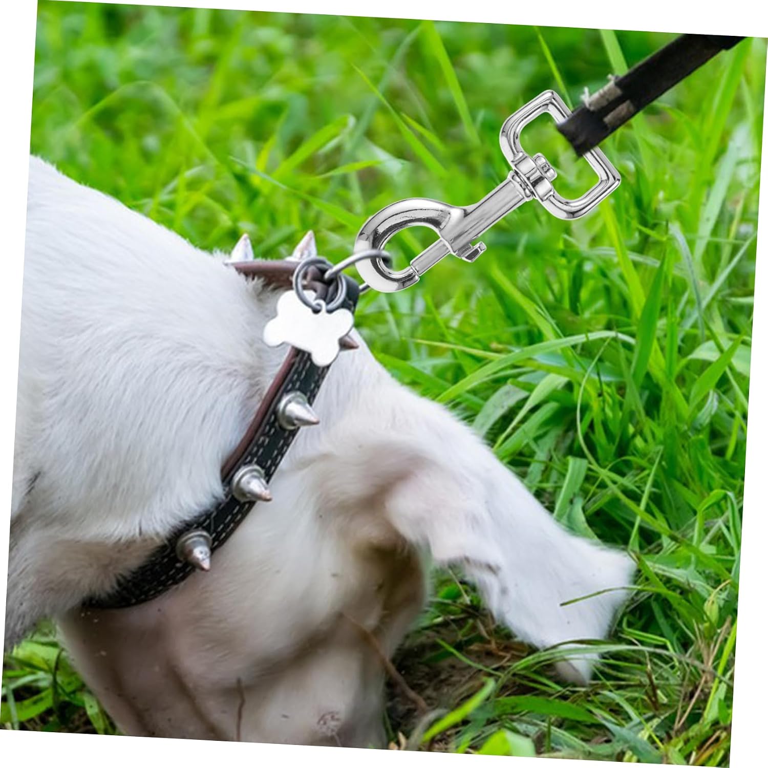 Kisangel 2pcs Heavy Duty Dog Leash Buckle Snap Hooks Clips for Pet Trigger Snap Hook