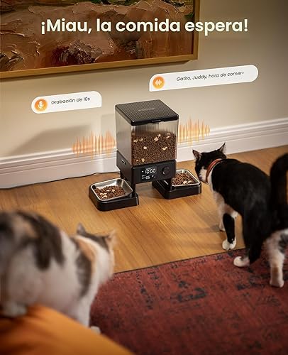 Miniatura 8 de oneisall Comedero automático para gatos para 2 gatos, 20 tazas/5 L, dispensador automático de comida para gatos para mascotas pequeñas