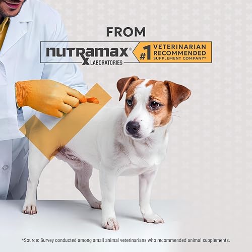 Miniatura 4 de Nutramax Filaquin - Suplemento para glándulas anales para perros, de The Makers of Proviable, con una mezcla de fibra, prebióticos y postbióticos