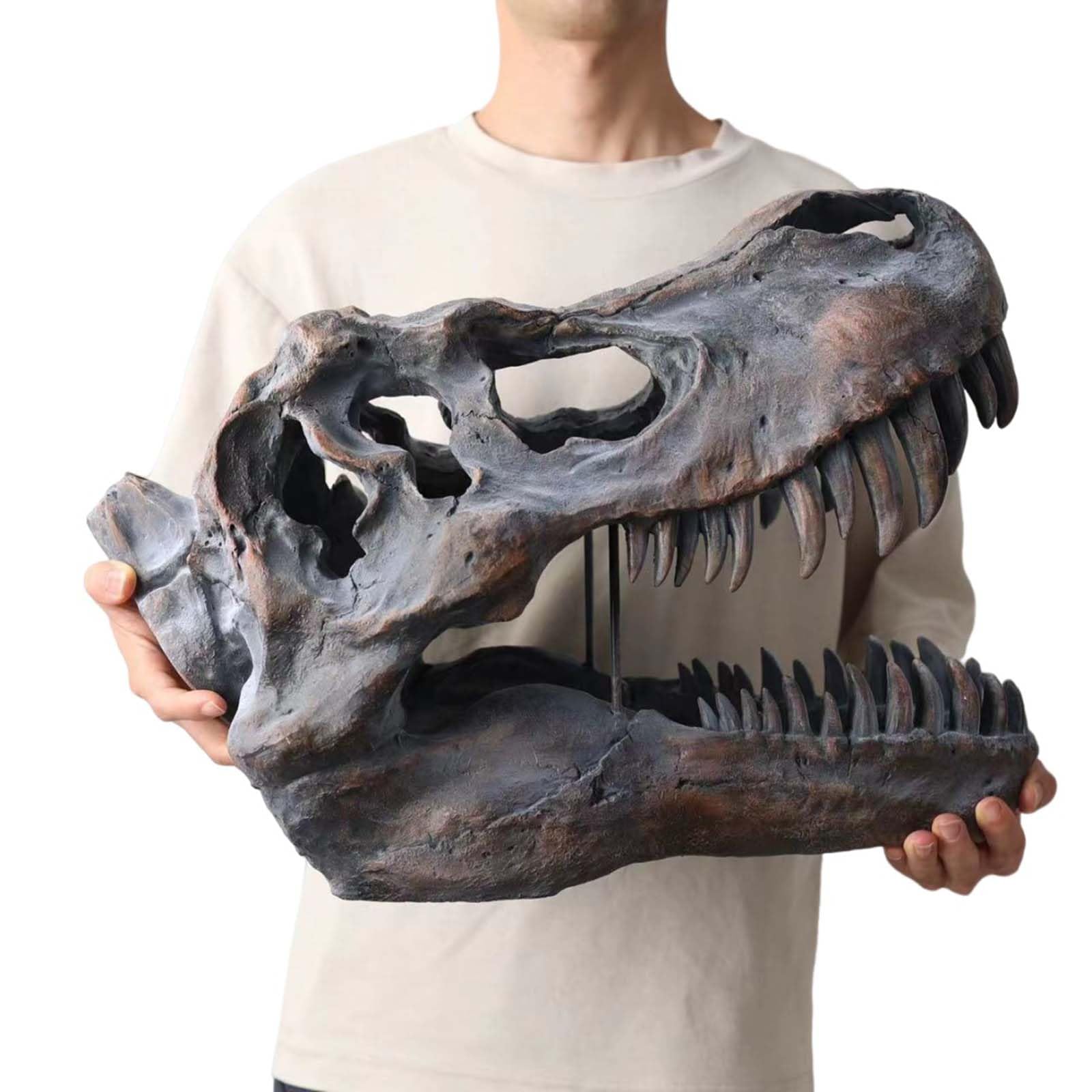 T-Rex Skull Dinosaur Head Statue Fossil Figurine Tyrannosaurus Rex Skull Sculpture per Home Office Decor Shelf Display