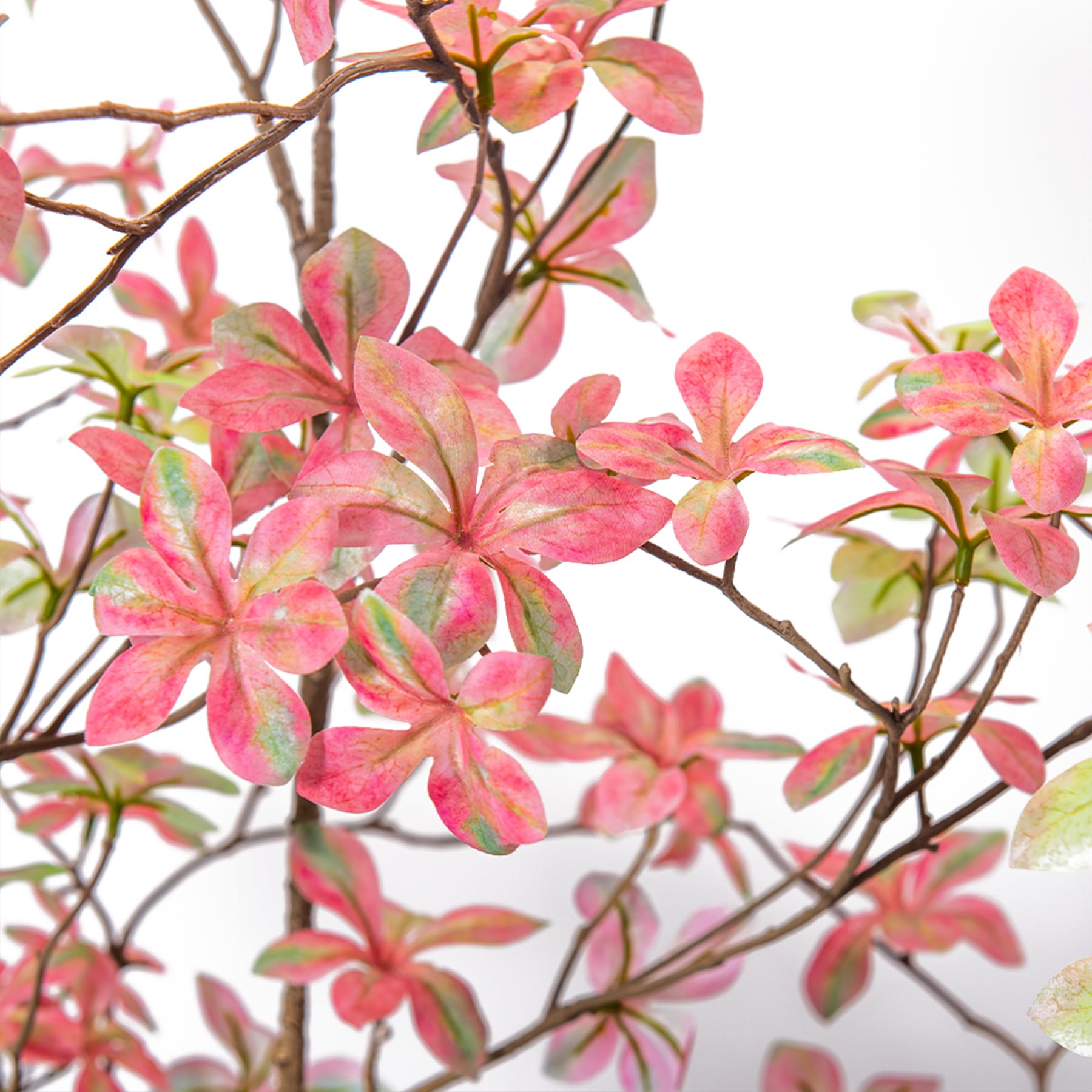 Amazon.de: Aphighjoy Kunstpflanze, Gummibaum, knstlich, tropischer  Burgunderrot, Ficus, Elastica-Baum, groe Bodenpflanzen fr Zuhause, Bro,  Veranda, Balkon, Raumdekoration (rosa Enkianthus, 1,2 m, 1 Stck)