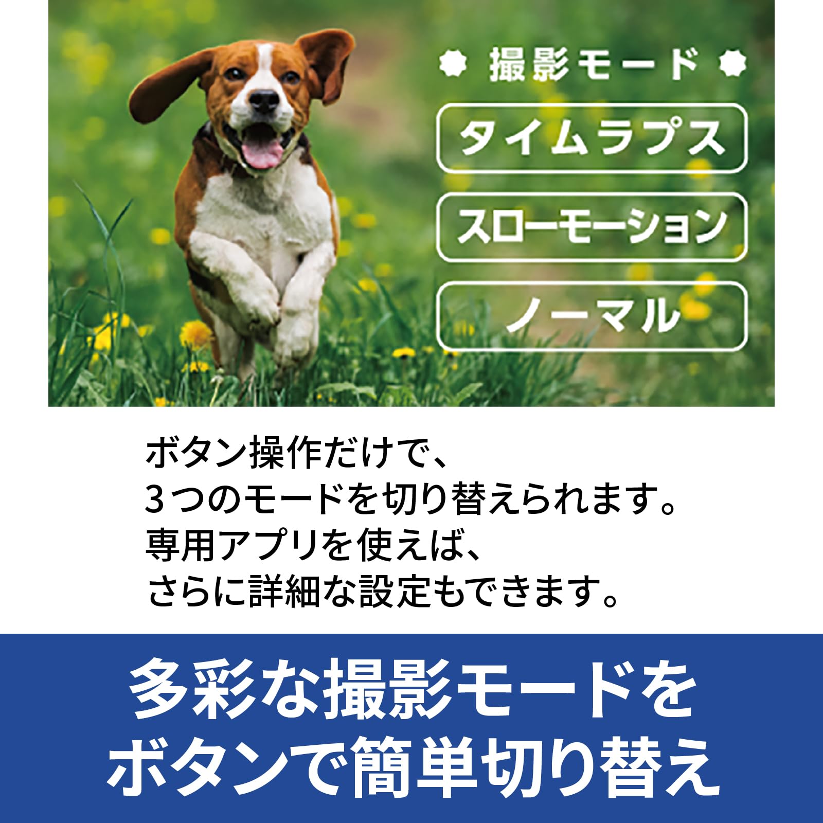 Amazon | DGP-GPC01/6軸ジャイロ搭載ポケットカメラ | ウェアラブル 