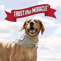 Vista 8 de Nature's Miracle Destructor de orina de perros Plus, fórmula enzimática para manchas severas de orina de perro, 17.5 onzas