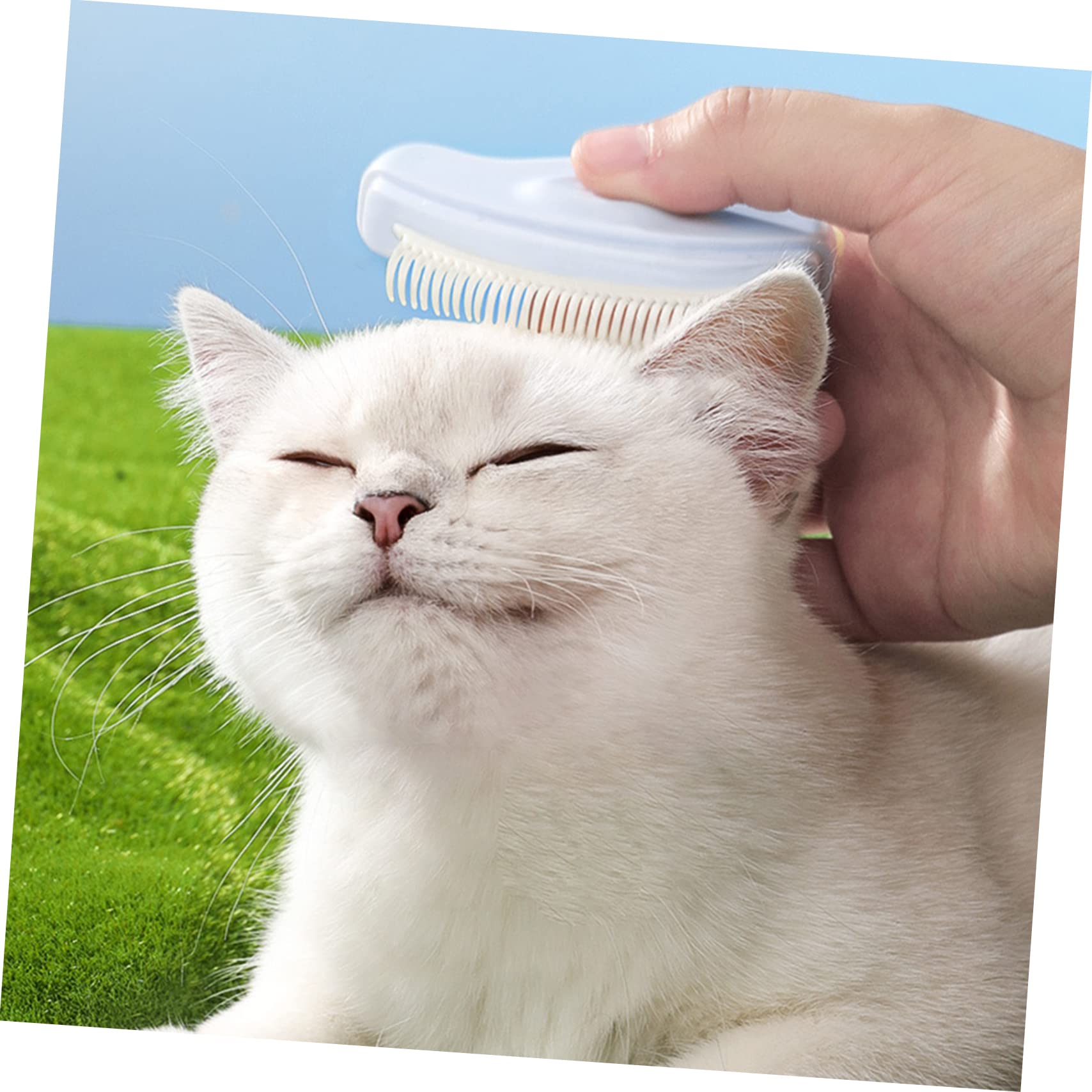 Happyyami 6piezas Peine Para Mascotas De Masajeador Herramienta De Aseo Para Perros y Gatos Cepillo Para Desenredar Pelo y Eliminar Enredos Para Mantener El Hogar De Pelos