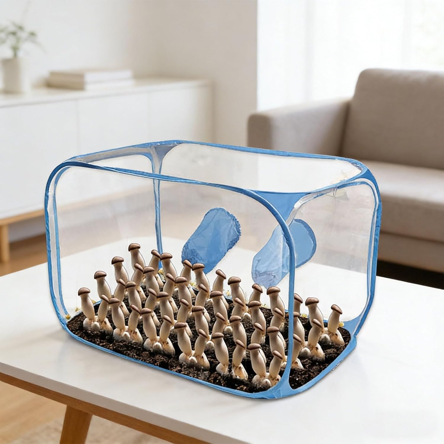 Foldable Mushroom Cultivation Bag Made from Sturdy PVC for Indoor Gardening and Easy Storage Mushroom Grow Container