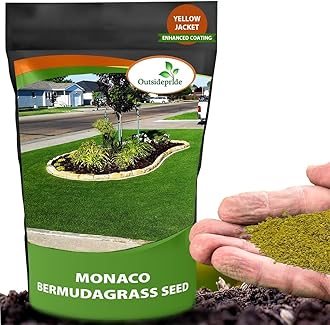 Outsidepride Monaco Bermuda Grass Seed - 1 lb. Drought-Tolerant, Dense, Wear-Resistant Turf Grass Seeds for Lawn, Sports Fields, & High-Traffic Areas - Ideal for Warm-Season & Transition Zone Areas