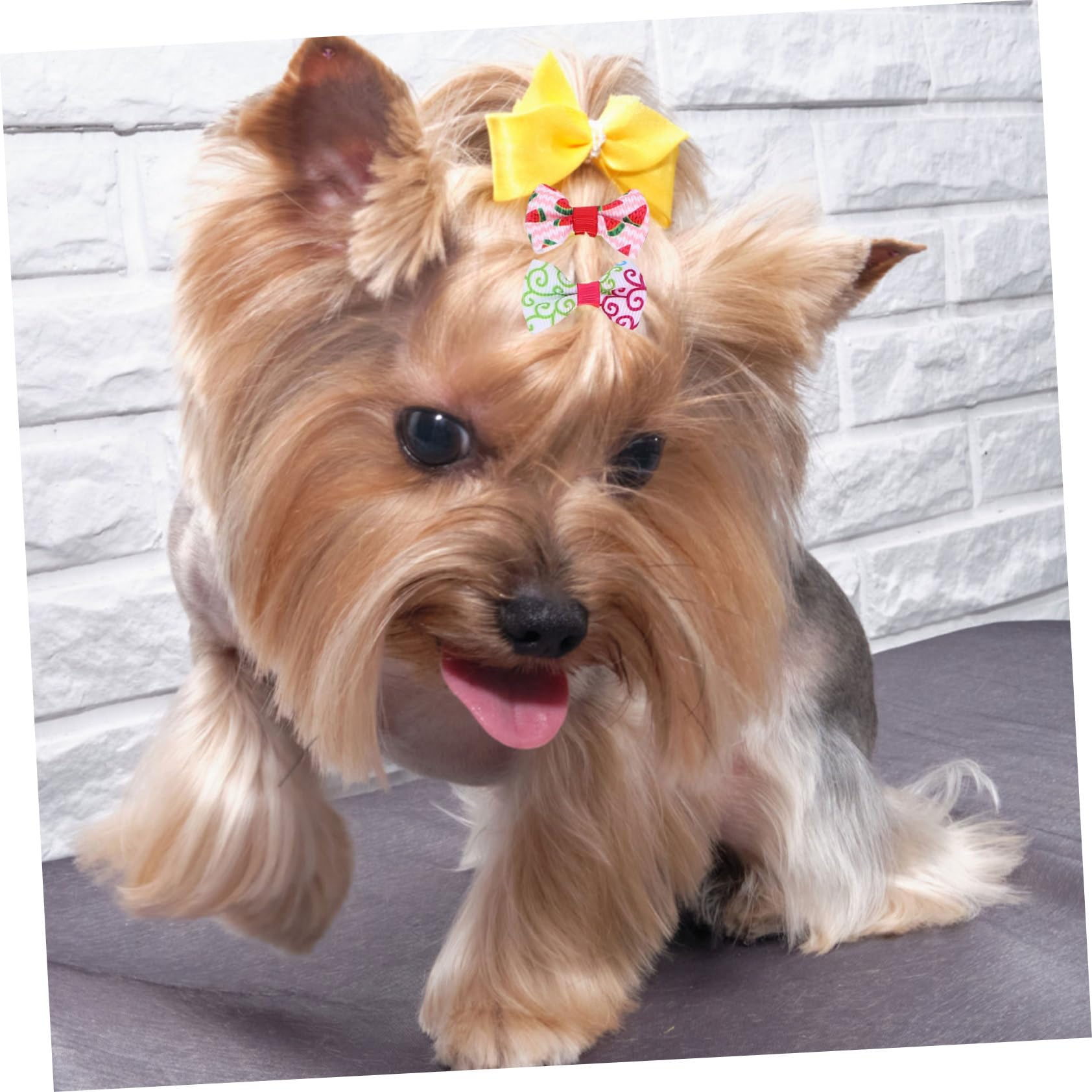 Mipcase 300 Piezas Flor De Cabeza De Mascota Perro Arcos Chica Cuidados del Perro Accesorios para Disfraces De Perros Pequeños Lazos para El Pelo De Perro Paño Pequeño Arco Elástico