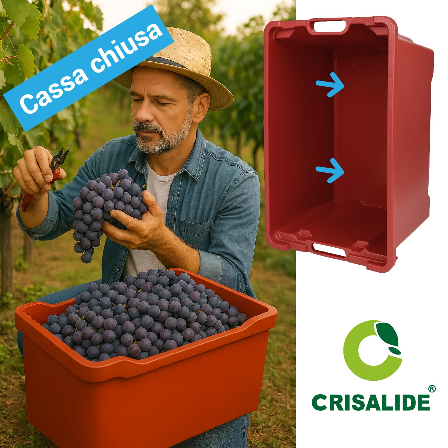 Crisalide Cassette Agricole Impilabili 40 L Plastica Alimentare 56x35x31 cm