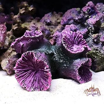 Amazon 人工 珊瑚 水槽 サンゴ 植物 オブジェ レプリカ アクアリウム 水族館 水中 魚タンク 飾り オーナメント 水槽用 サンゴ礁 人工 サンゴ 熱帯魚 安全 無毒 鮮やか 耐久性観賞魚 海洋魚飼育用 水族館の装飾 水景 造景置物 オーナメント レイアウト 紫12x10x6cm