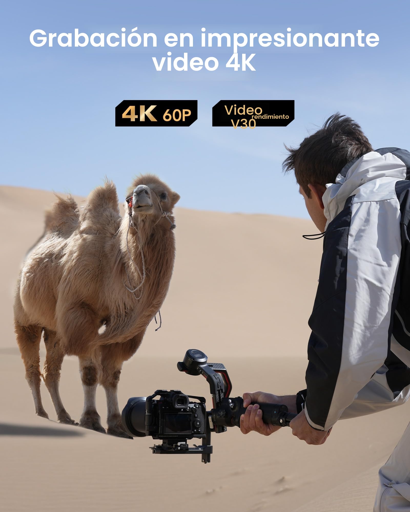 Lexar Tarjeta SD 128 GB Silver, hasta 205 MB/s de Lectura, Tarjeta de Memoria SDXC UHS-I, Clase 10, U3, V30, SD Card para Fotógrafos Profesionales, Videógrafos y Entusiastas