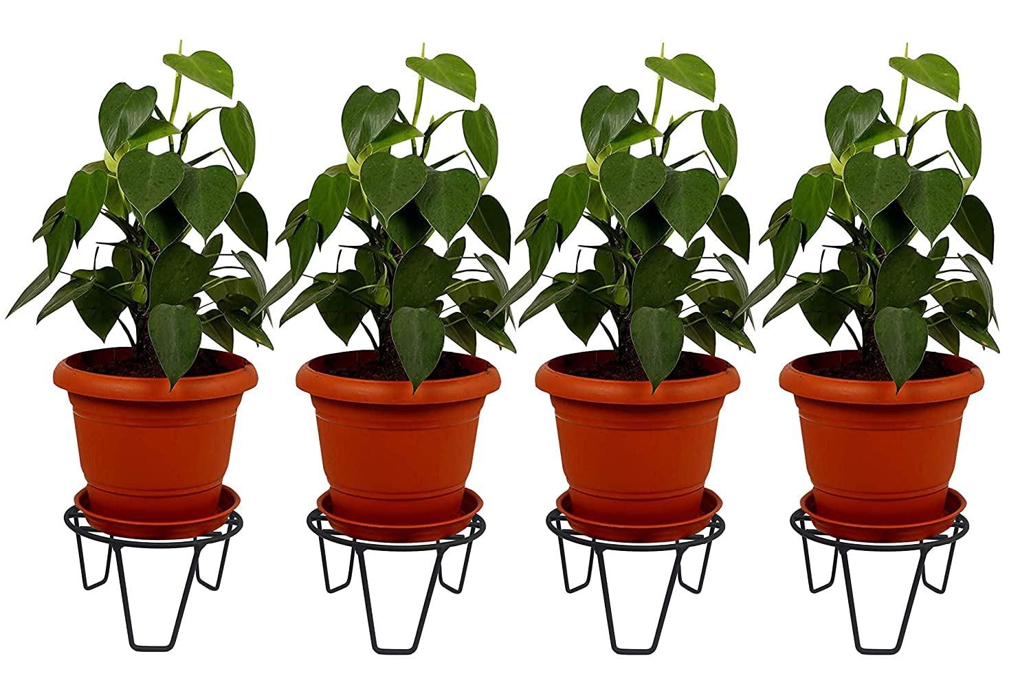 NAYRA Plant Stands - Black Metal for Pots -5 NAYRA Plant Stands - Black Metal for Pots -5
