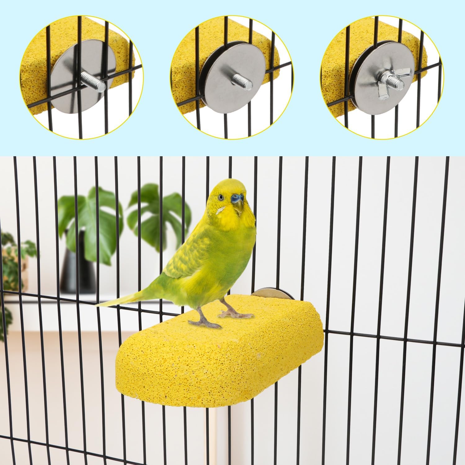 Natuurlijke Calcium Steen Kauwspeelgoed voor Alle Papegaaiensoorten - Tanden Slijpen Steen voor Ara, Afrikaanse Grijs, Eclectus, Kaketoe, Parkiet