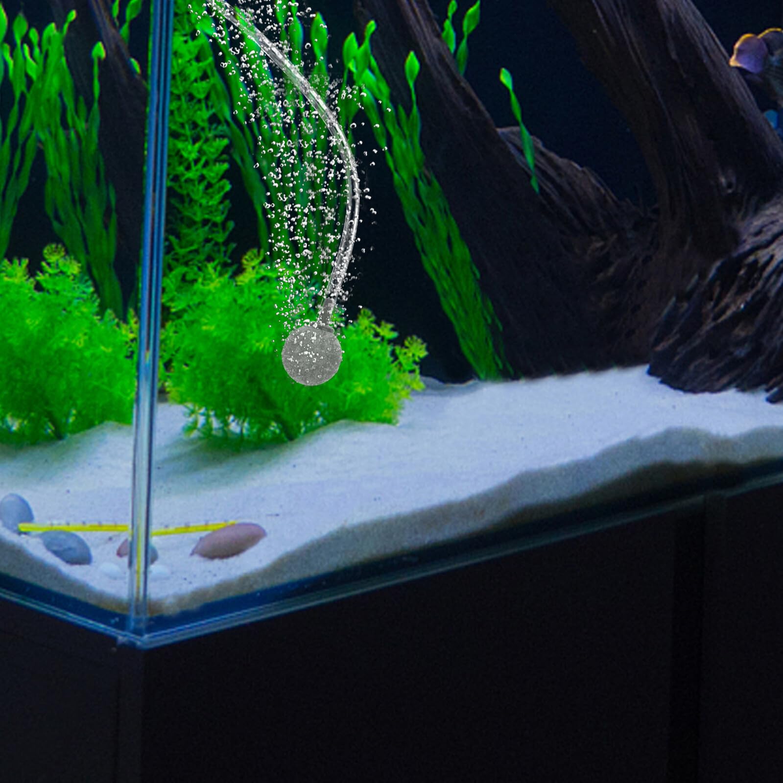 10 Pezzi Pietre d'Aria Rotonde per Acquario Diffusori Bolle Equilibrate in Dinas Riutilizzabili e Resistenti per Serbatoi Pesci d'Acqua Dolci e Marine