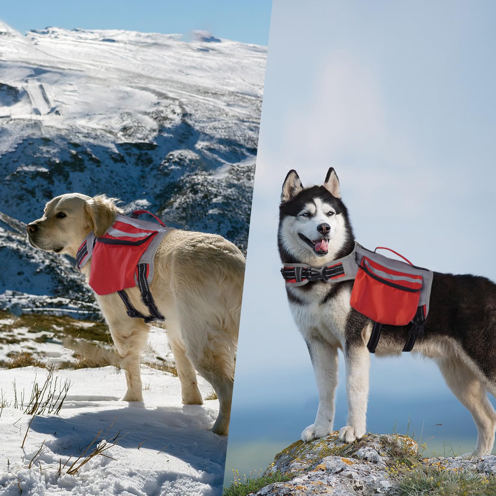 DENTRUN Zaino per cani con tasca laterale e tracolla regolabile, perfetto per viaggi con cani, escursioni e uso quotidiano