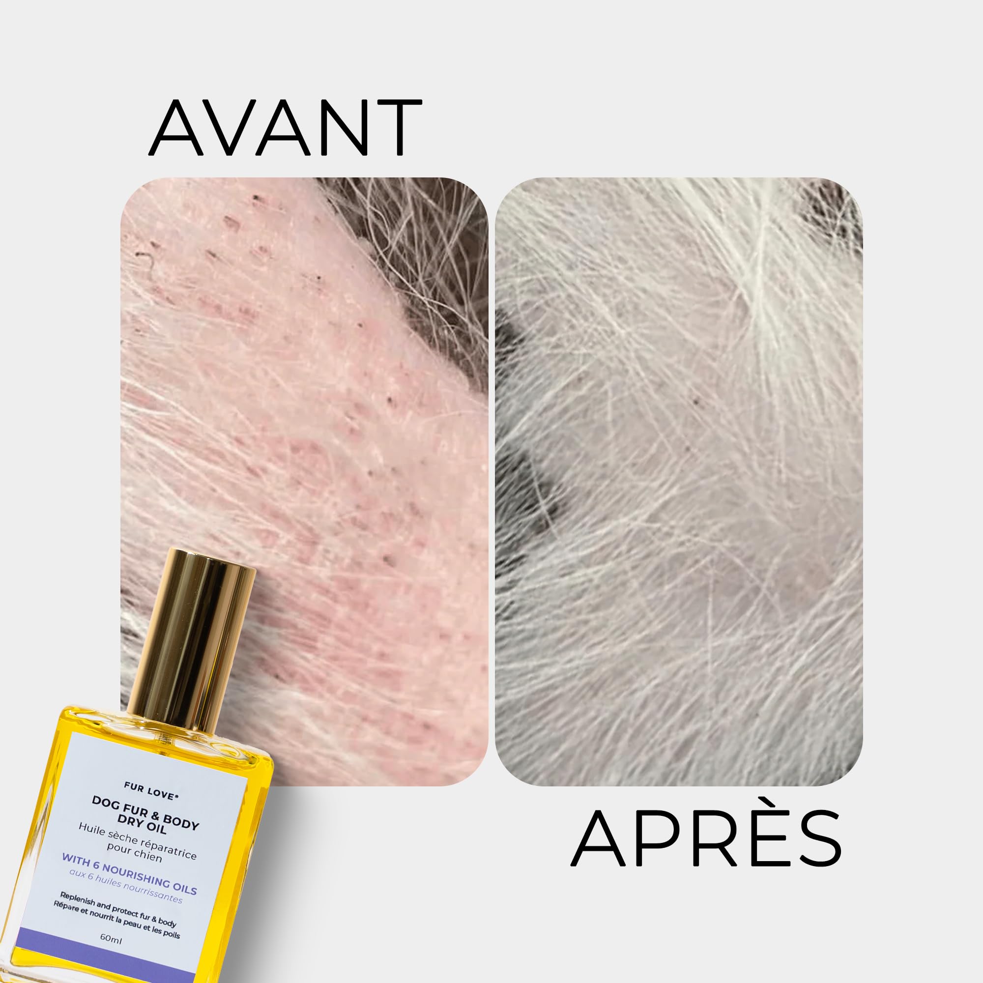Huile De Soin Chien Argan Et Bourrache – Hydratation Peau, Poil – Nutrition Et Brillance – Texture Légère sans Effet Gras – Soin pour Chien Quotidien Pelage - Poil Sec ou Humide