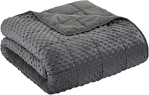 Weighted Blanket for Adults, Comfortable and Soft Throw Weighted Blanket with Premium Glass Beads for All Season 15 lbs 60"x80", Dark Grey