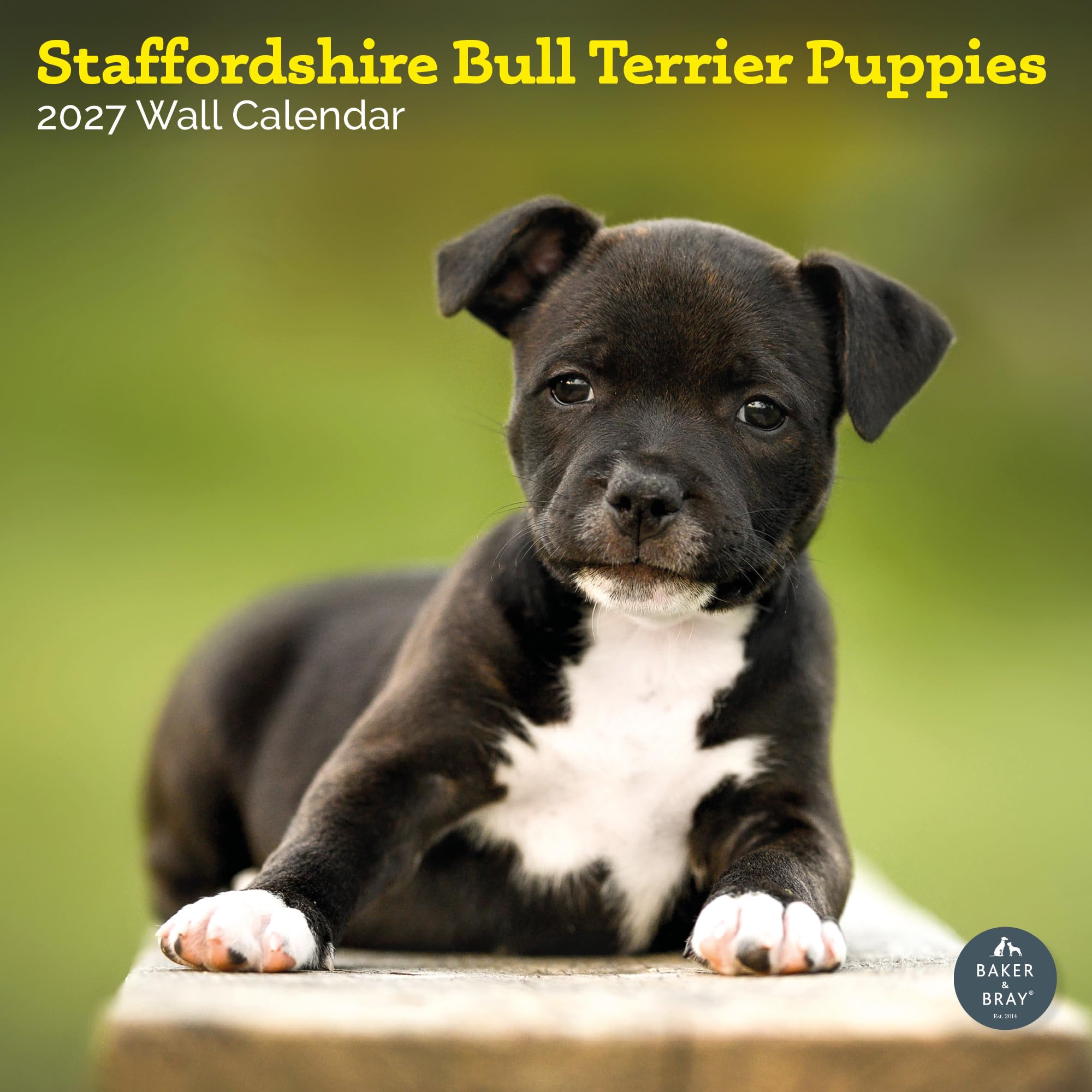 Baker and Bray Staffordshire Bull Terrier Puppies Calendar 2027, Large
