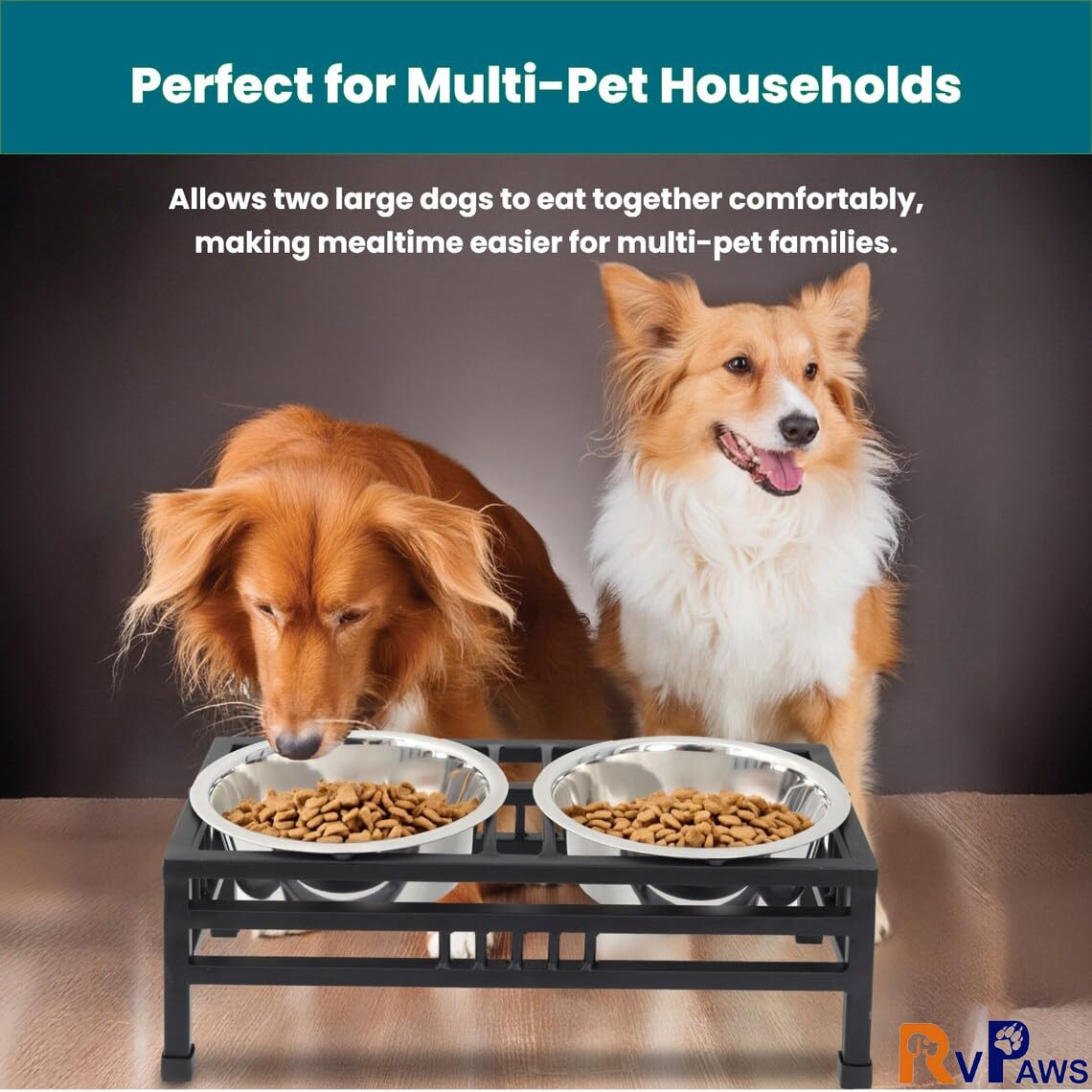 RvPaws Pets Double Elevated Feeding and Watering Stand Bowls | Stainless Steel Bowl Non-Slip Iron Stand | Feeder Bowls for Puppies and Small Dogs (Small - 350ML X 2 Bowl) 2