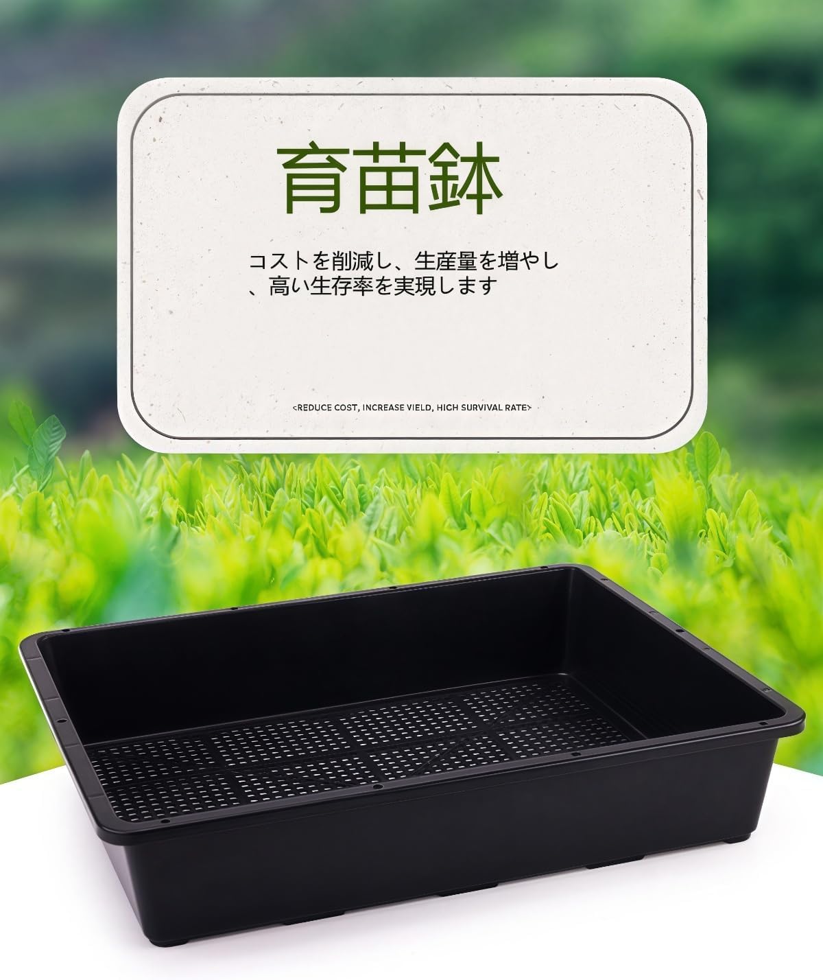 Amazon.co.jp: IWEJ トレー 苗箱 育苗ポット プラスチック製 10 個 