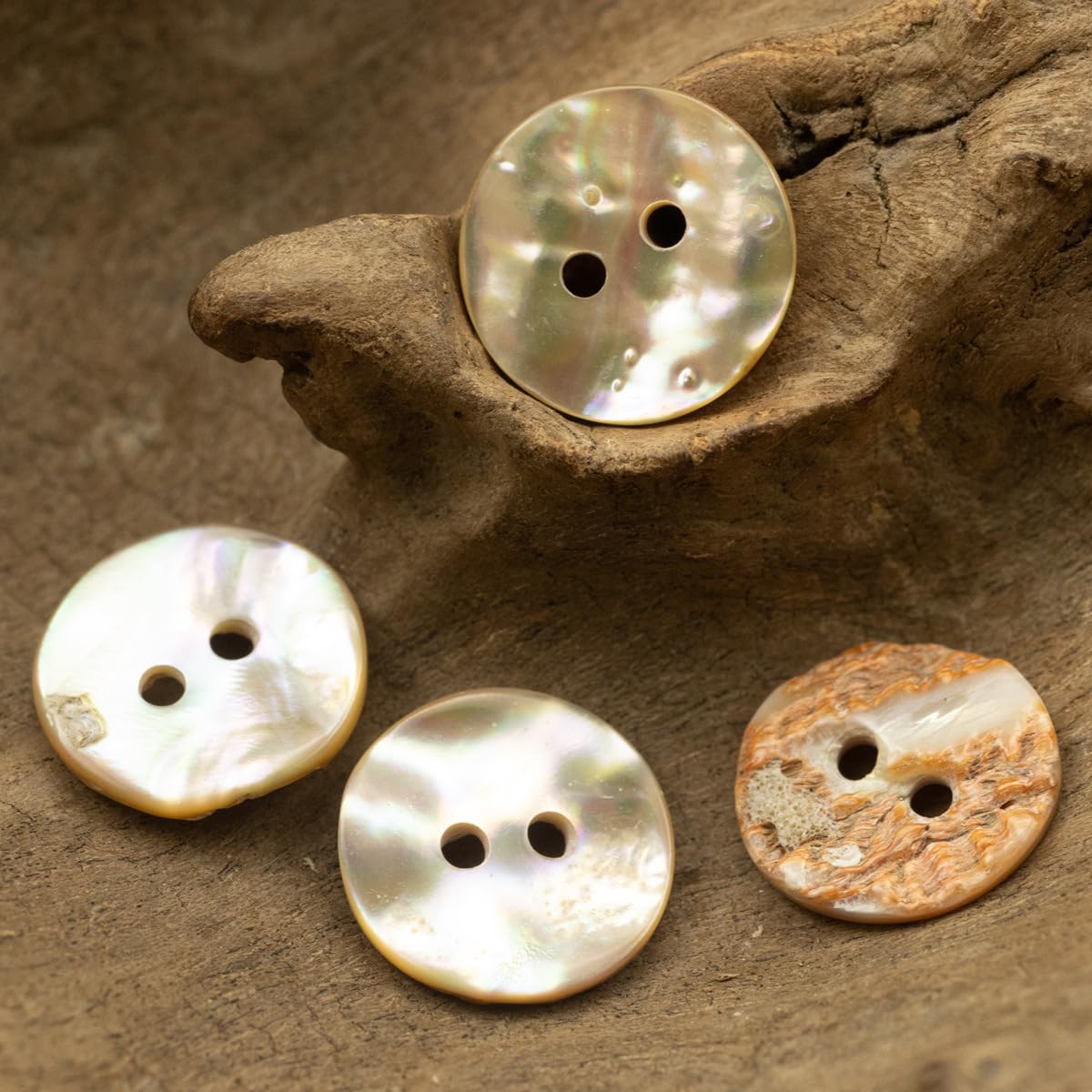 10 Pezzi 11,5-20 mm Bottoni in Conchiglia di Abalone Naturale, Bottoni Rotondi a 2 Fori per Cucire per Camicie, Maglioni, Cardigan, Abiti, Accessori Decorativi