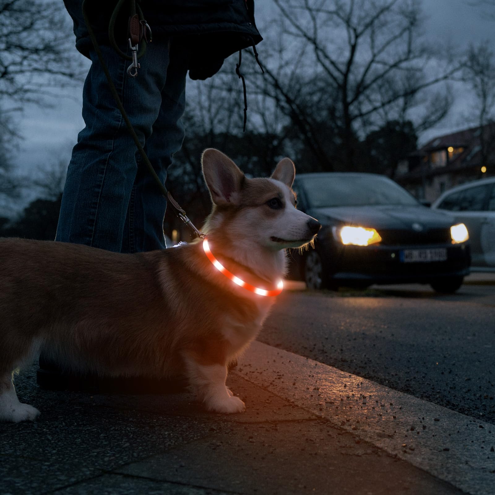 HIGO Collar LED para perro, collares de perro con luz recargable, collar de seguridad de silicona ligera para mascotas para caminar por la noche (naranja-silicona)