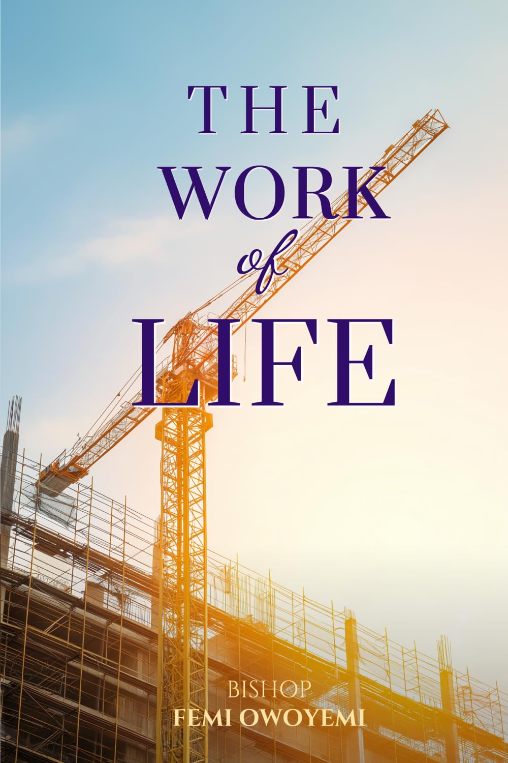 The Work of Life: Discovering the Divine Assignment that God Designed for Your Life