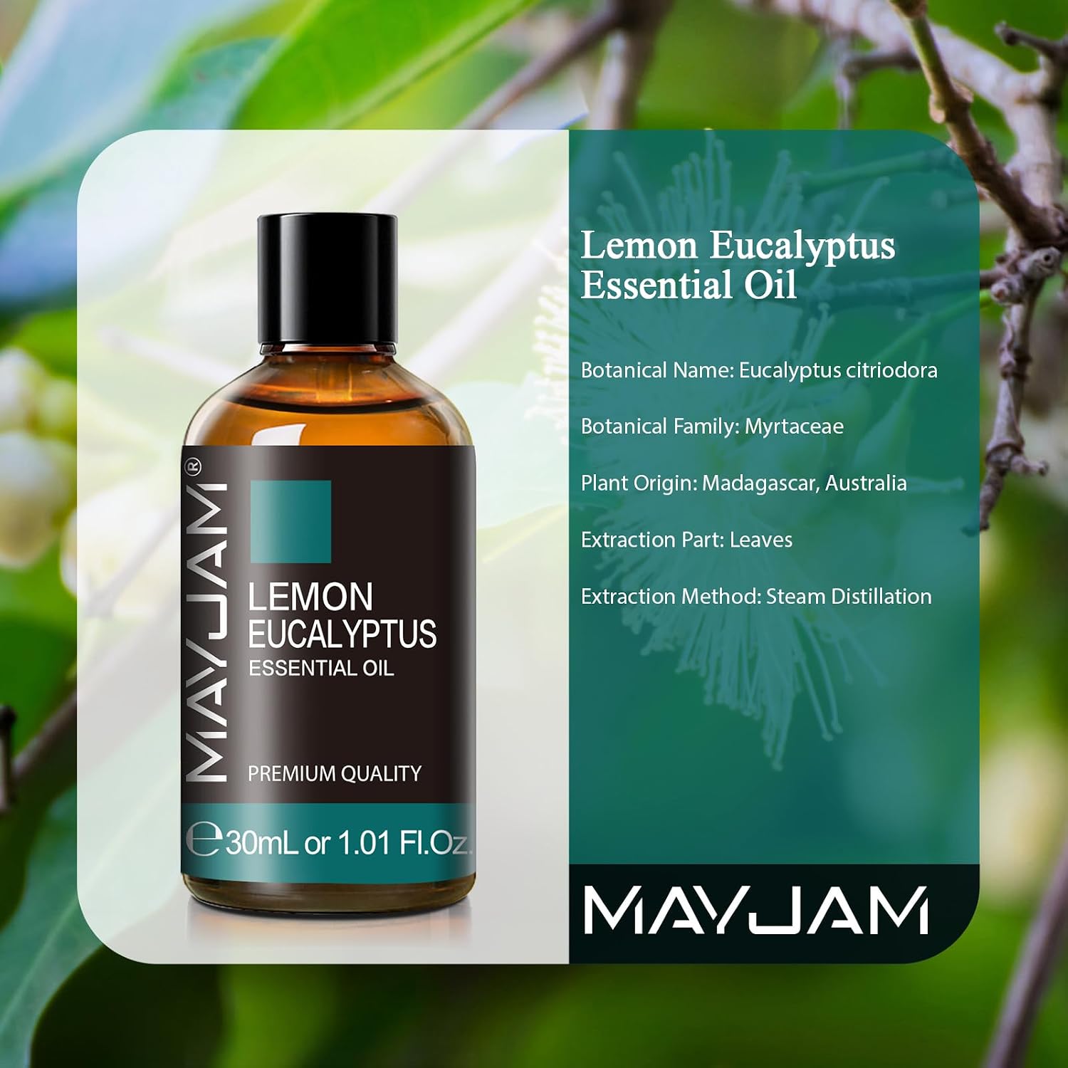 MAYJAM Lemon Eucalyptus Essential Oil for Diffuser Skin Care, 1.01fl.oz image 3