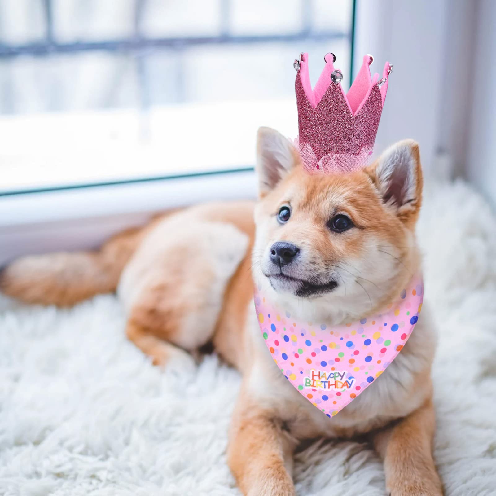 POPETPOP 9pièces Costume Anniversaire pour Chien Ensemble avec Chapeau Jupe Et Bandana pour Fête Anniversaire