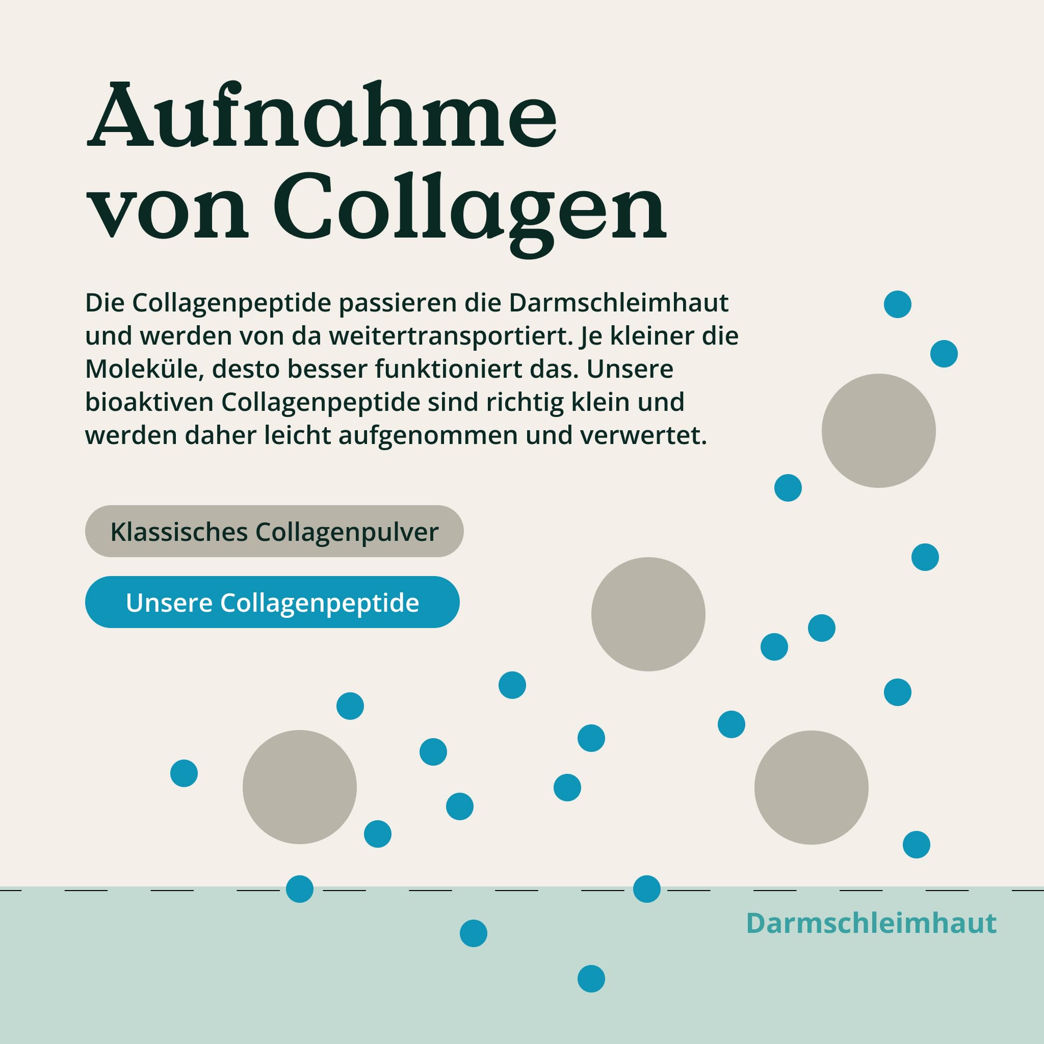 NATURE LOVE® Premium Collagen Pulver - 1500g Kollagen - Peptide Type 1 und 3 - von Rindern aus Weidehaltung - Geschmacksneutral - ohne Zuckerzusatz & Süßungsmittel