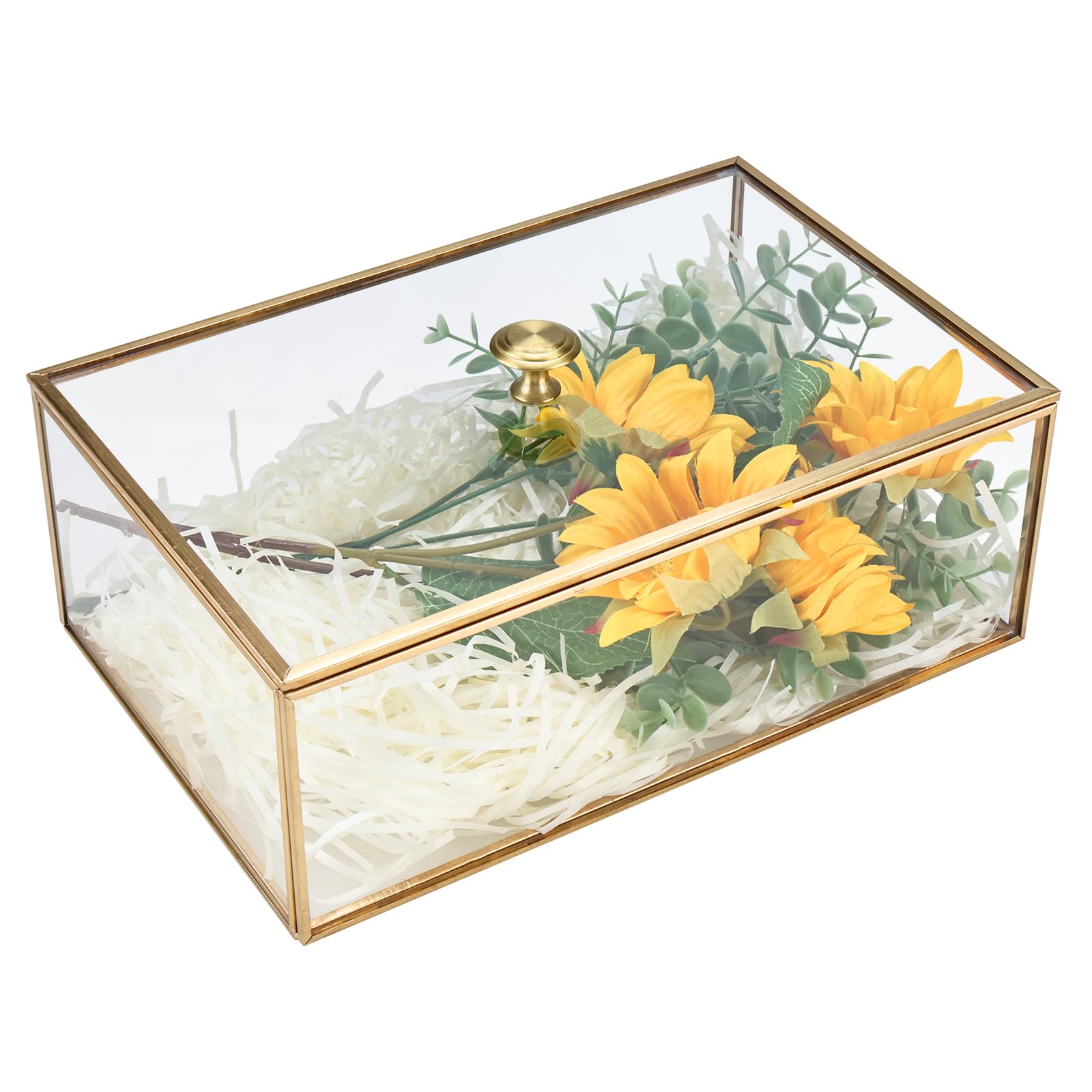 HighFree Copper Golden Vintage Glass Lidded Box w/Lift-off Cover, Jewelry Display Box Organizer, Decorative Keepsake Counter Display Box (Large)