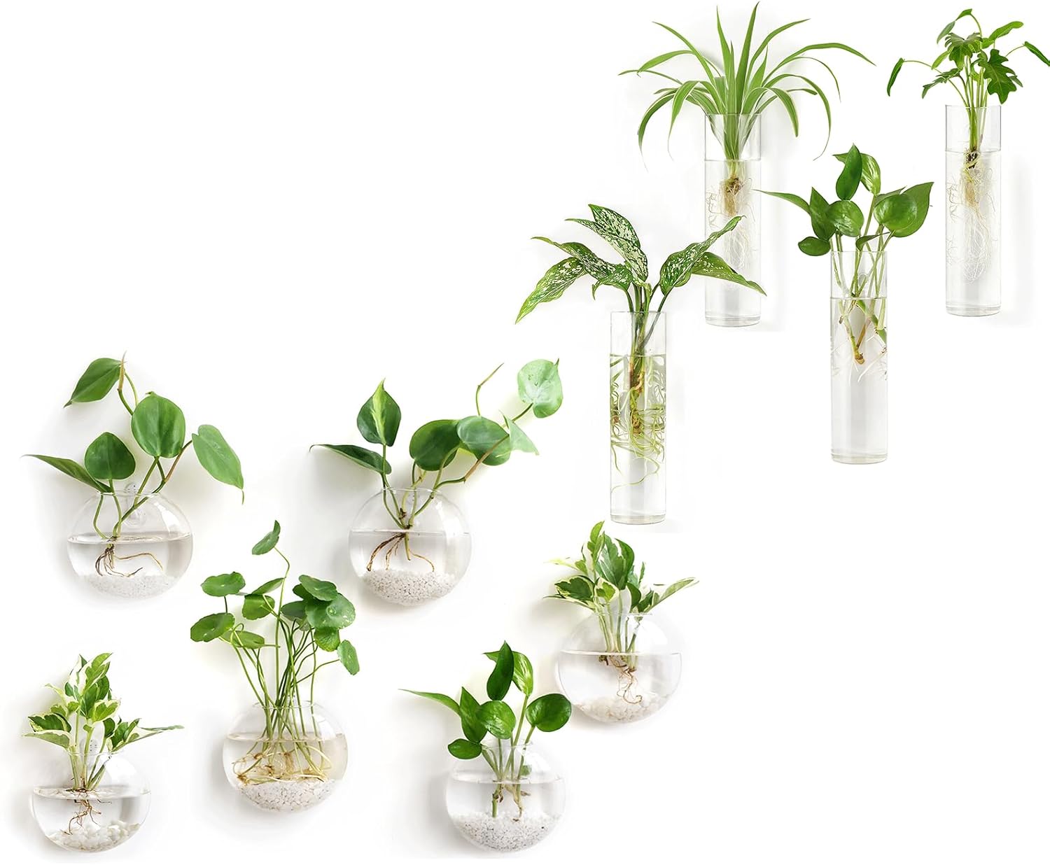 Mkono Propagation Stations Wall Hanging Glass Terrariums Planter Cylinder Flower Vase for Hydroponic Plants, Bathroom Home Office Living Room Decor