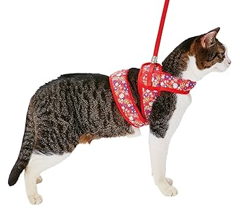 Amazon | ペティオ (Petio) 猫小町ソフトハーネスリード まり