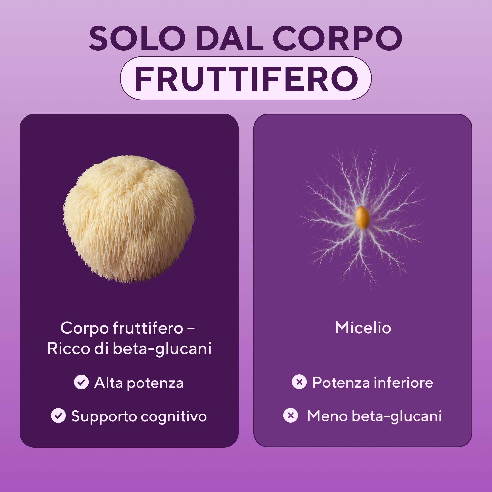 Lions Mane Mushroom Capsule 10.000 mg – Estratto Altamente Concentrato di Hericium Erinaceus 10:1 – Testato in Laboratorio con Certificazione – Integratore Lions Mane – 180 Capsule Vegane