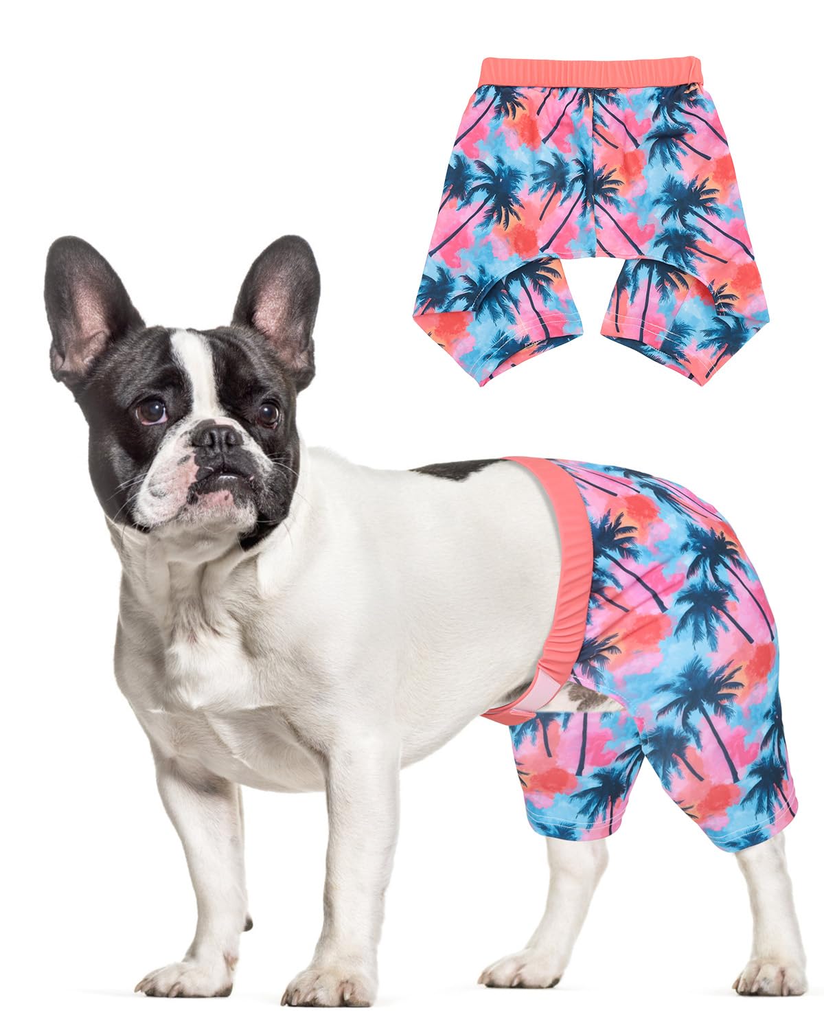CuteBone Dog Swim Trunks Swimsuit Durable &amp; Comfortable - Quick-Dry, Adjustable Waistband Shorts, UV Protection Bikini- Perfect for Beach, Pool &amp; Outdoor Fun, Dinos DST10XL