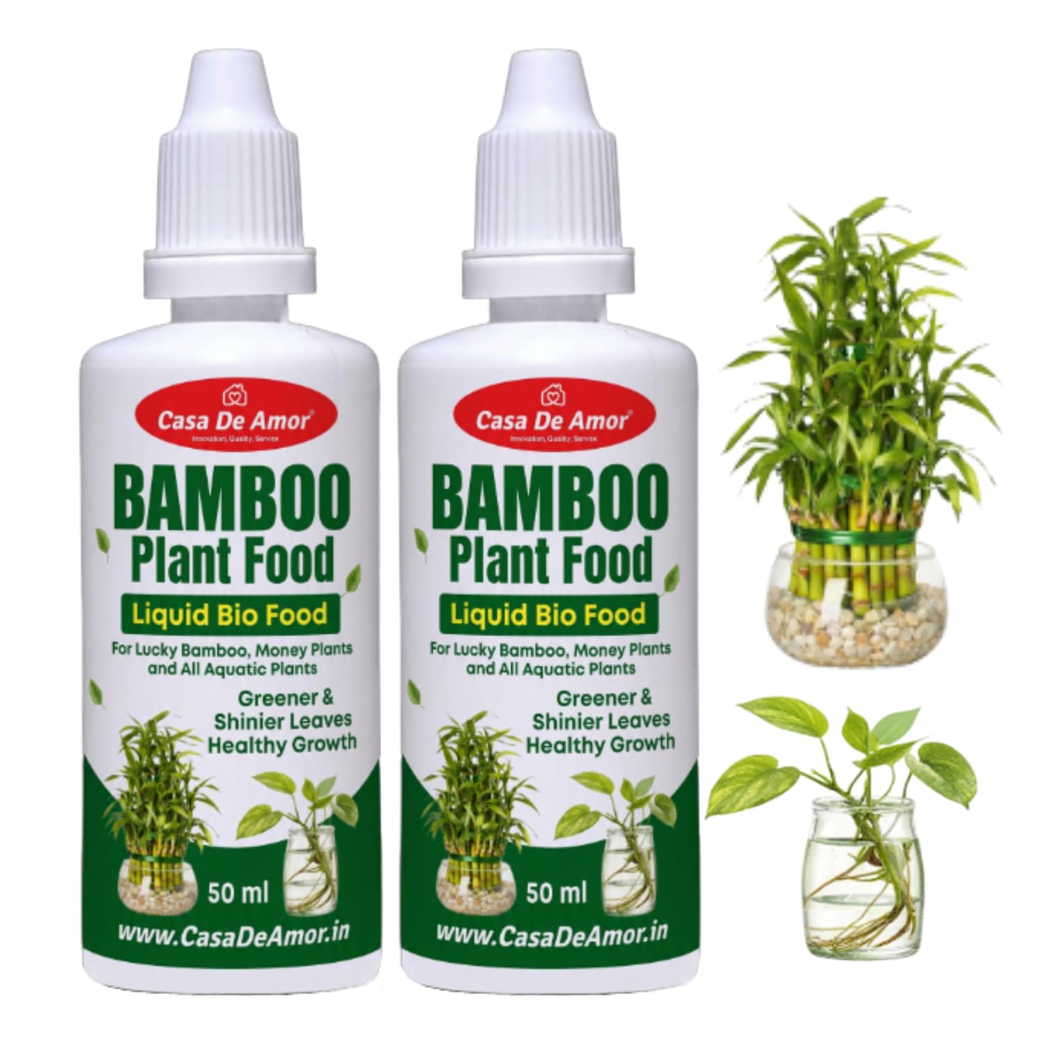 Casa De Amor Bamboo Plant Food for Lucky Bamboo & Money Plants | Liquid Fertilizer for Indoor Water Plants | Growth Booster for Green Leaves & Strong Roots | 2 x 50ml (100ml Total)-image-5