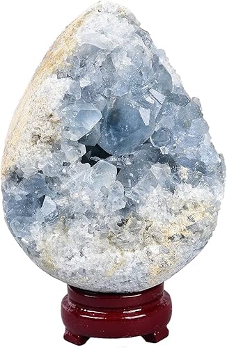 Miniatura 8 de AMOYSTONE Orthoceras Huevo negro con base de piedra natural para curar reiki decoración del hogar, tamaño mediano, altura individual 2.5-3 pulgadas