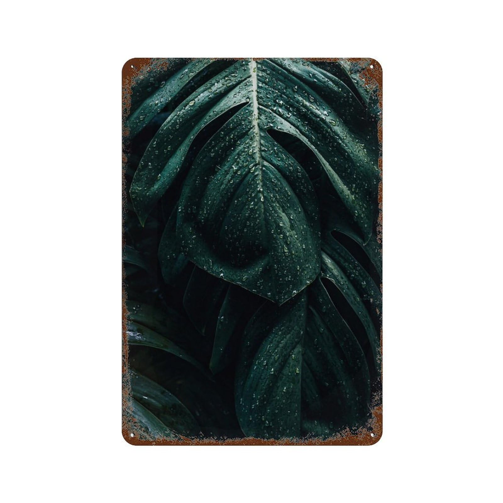 xiaoxiaoshen Palm Leaf Tropical Green Decor Wall Decor Art Metal Tin Poster Modern Home Decor Art Home Bar Shop Decorations Vintage Sign 30x20cm