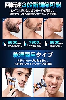 シェーバーティプ　B2 ASV-B02(GY) 2 Head Shaver 【2ヘッドシェーバー 】 1台