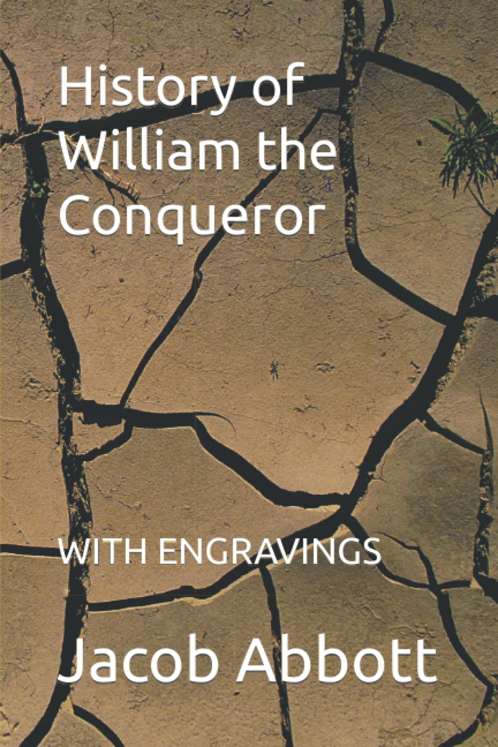 History of William the Conqueror: WITH ENGRAVINGS