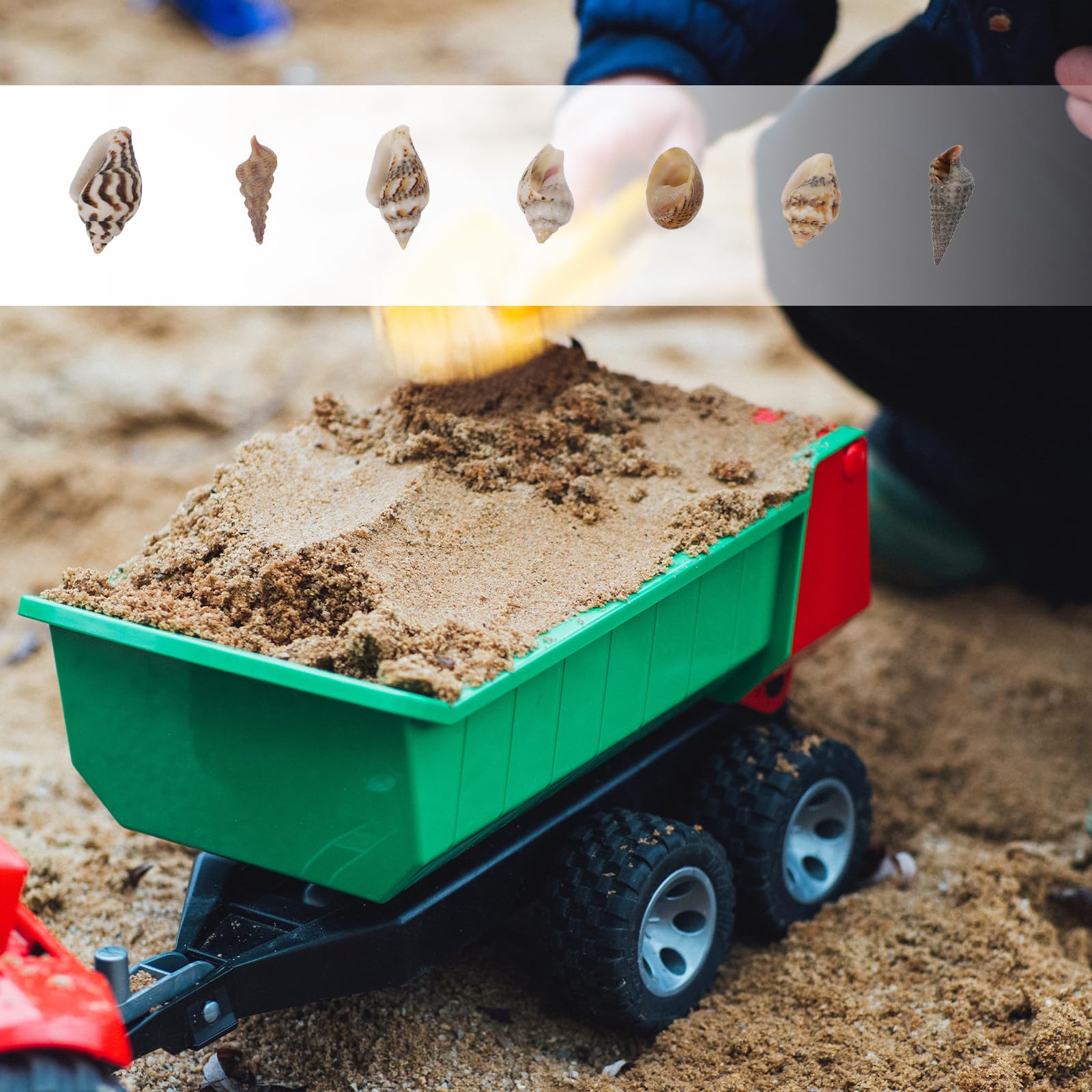 HOMSFOU Conchiglie Naturali Mini per Decorazioni Fai da Te, Riempitivo Artigianale per Vasi e Oggetti, Accessori Epossidici Resistenti alla Corrosione, Set da 2 Scatole per Ambienti