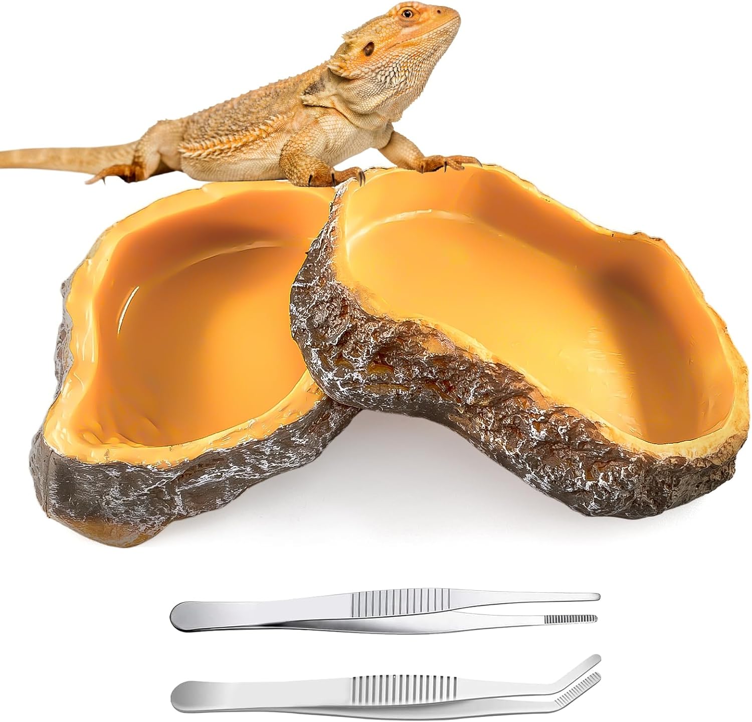 xuefenfei 2 x Wassernapf Terrarium, Reptiliennapf mit 2 Pinzetten, Schüsseln Terrarium, Schildkrötenzubehör, Reptilien-Wassernapf, für Echsen-Chamäleon-Schildkröte